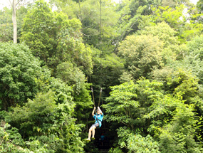 Team Building Team Building