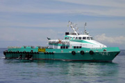 Mv Pelican Brave